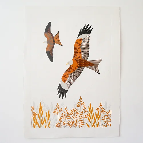 Red Kites over the South Downs by Ashley Hutchinson