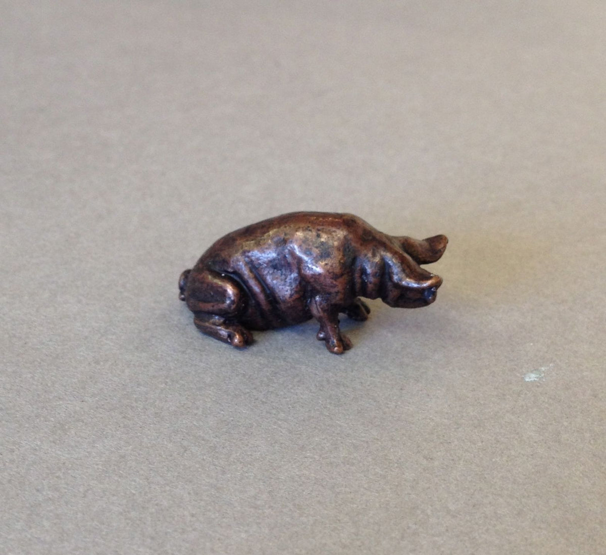 Miniature Pig by David Meredith