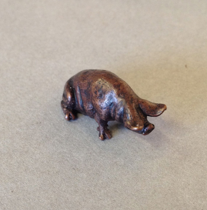 Miniature Pig by David Meredith