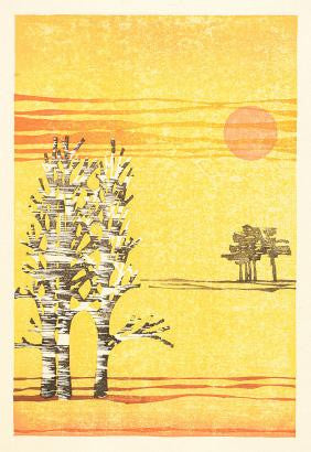 Pines and Birch, Evening Light by Laura Boswell
