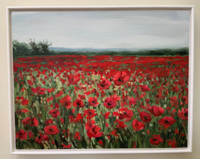 Poppies at Kingsey