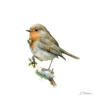 Robin Light-Bringer - original watercolour illustration by Natacha Chohra