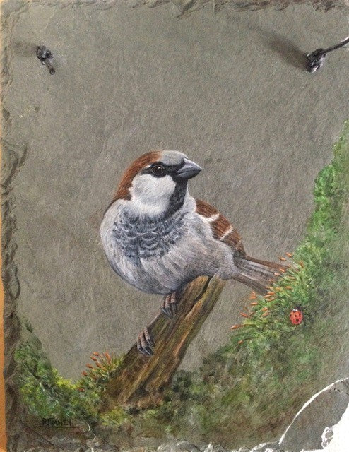House Sparrow with Ladybird- Painting on Slate