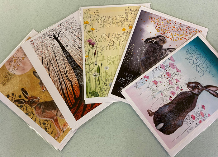 Set of 5 Mixed Cards by Sam Cannon