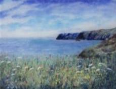 Sea Pinks on the Lizard by Debbie Lord