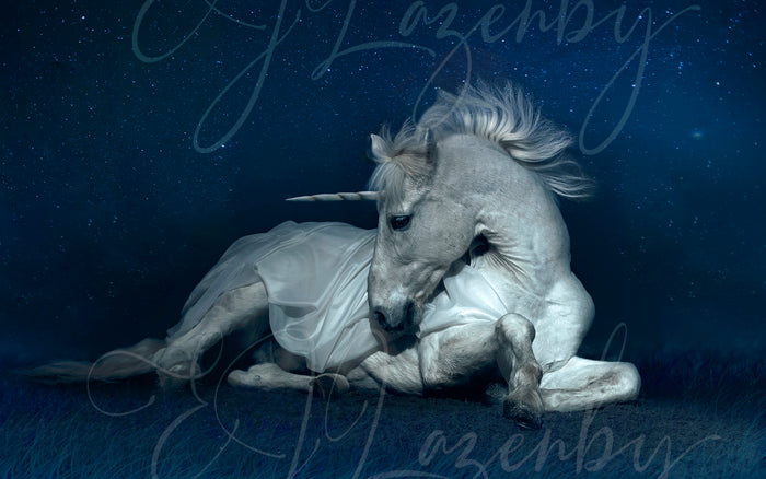 Silvered Unicorn by EJ Lazenby