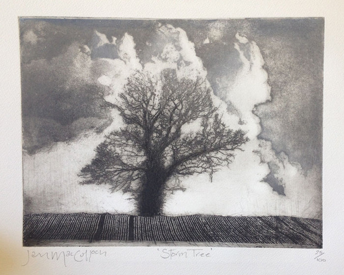 Storm Tree by Ian MacCulloch