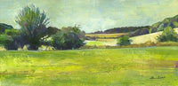 Studley Green Summer by Alan Kidd