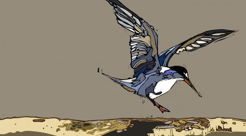 Tern at Daybreak - linocut by Jenni Cator