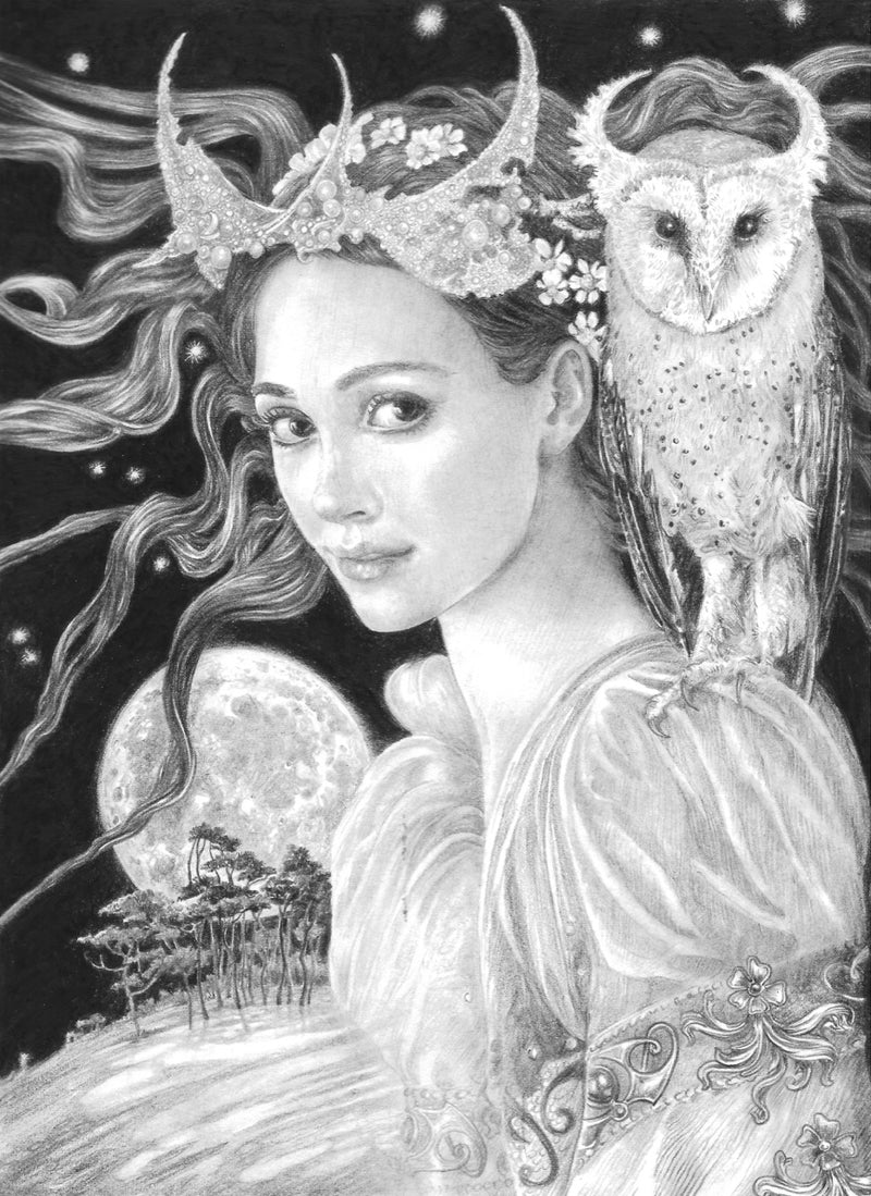 The Owl of Athena - Original Drawing by Ed Org