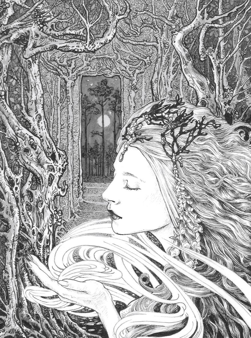 The Wind in the Woods - original drawing by Ed Org