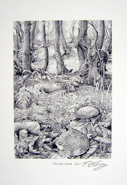 The Lost Wood - Reproduction Signed Print by Ed Org