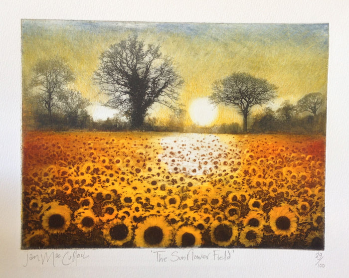 The Sunflower Field by Ian MacCulloch