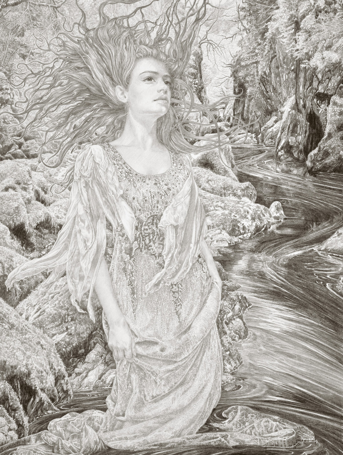 The Faerie Glen - Limited Edition Print