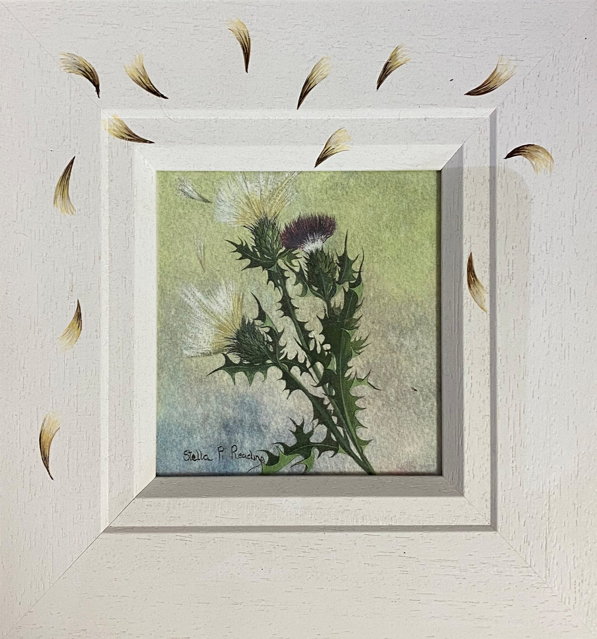Thistle by Stella Parslow