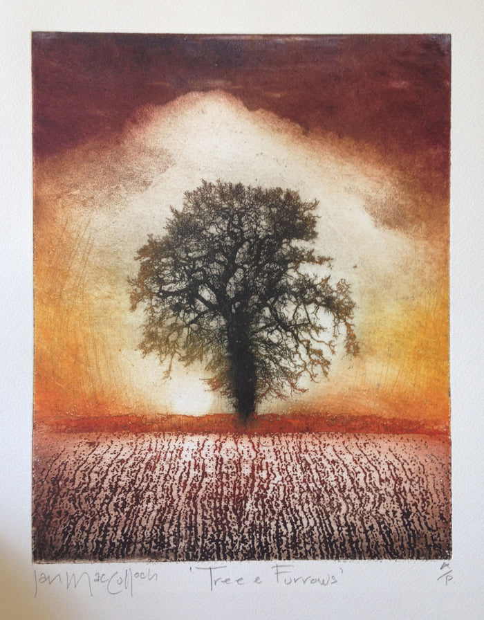 Tree and Furrows by Ian MacCulloch