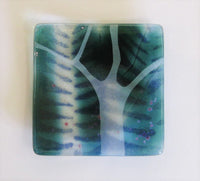 Tree of Heaven, Small Curved Glass Dish by Verity Pulford