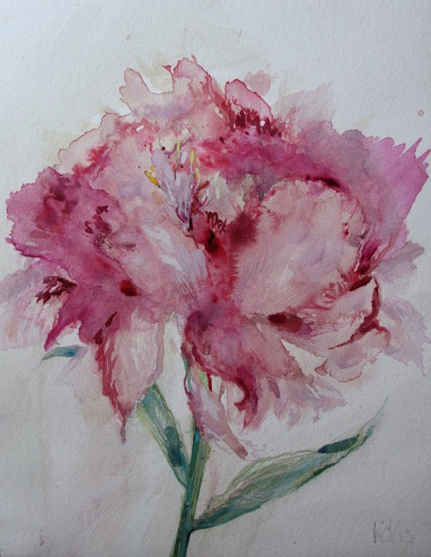 Peony by Victoria Kennedy