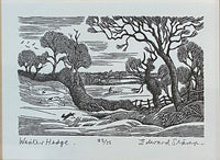 Winter Hedge by Edward Stamp RI
