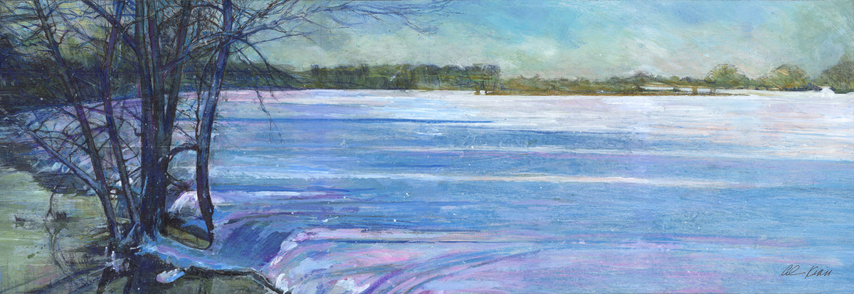 Winter Water Meadows by Alan Kidd