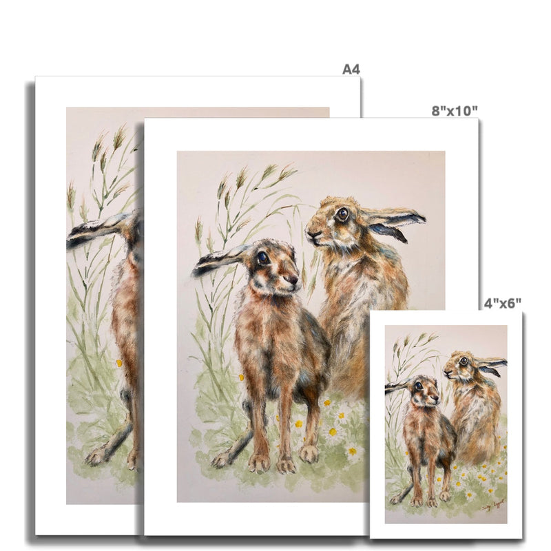 Two Hares Fine Art Print by Sally Leggatt