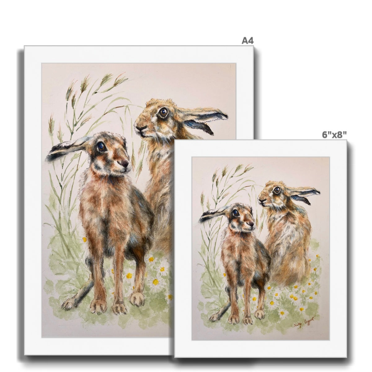 Two Hares by Sally Leggatt - Framed Print