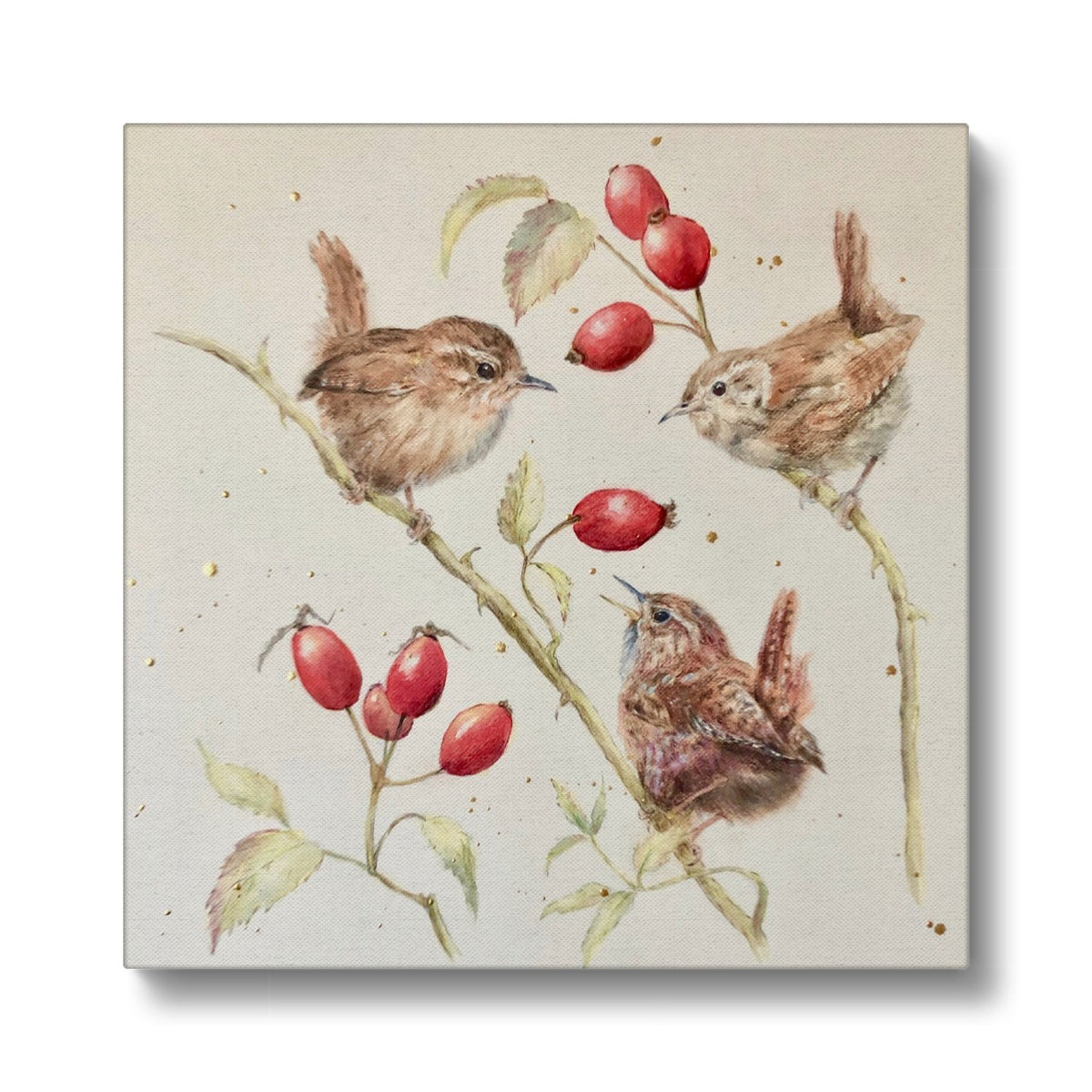 Chime of Wrens Eco Canvas