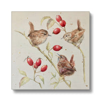 Chime of Wrens Eco Canvas