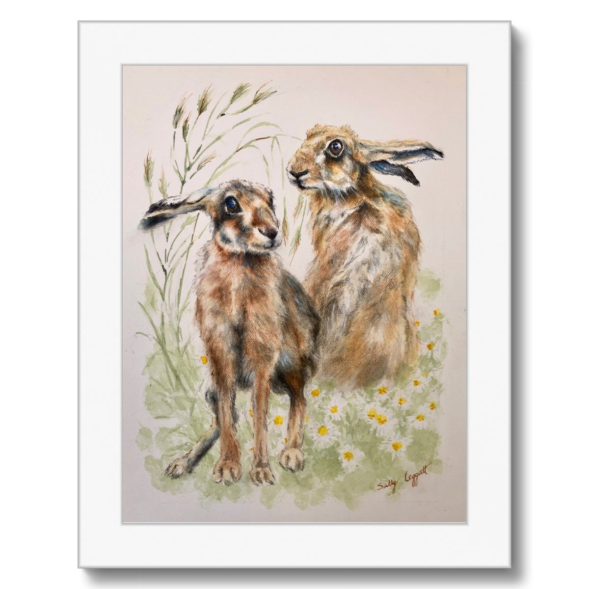 Two Hares by Sally Leggatt - Framed Print