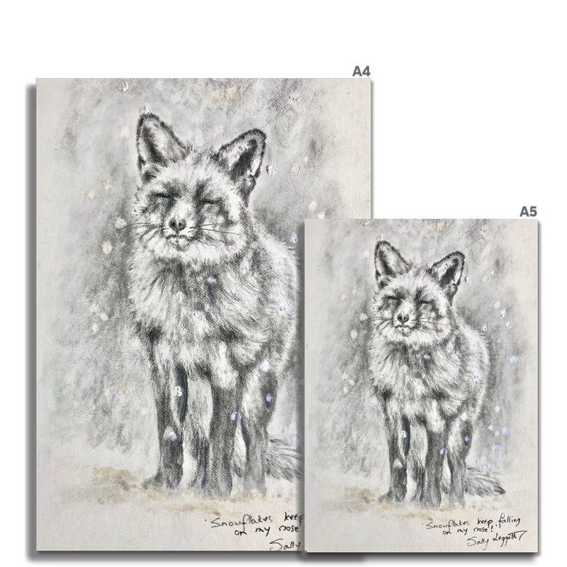 Snowflake Fox Fine Art Print