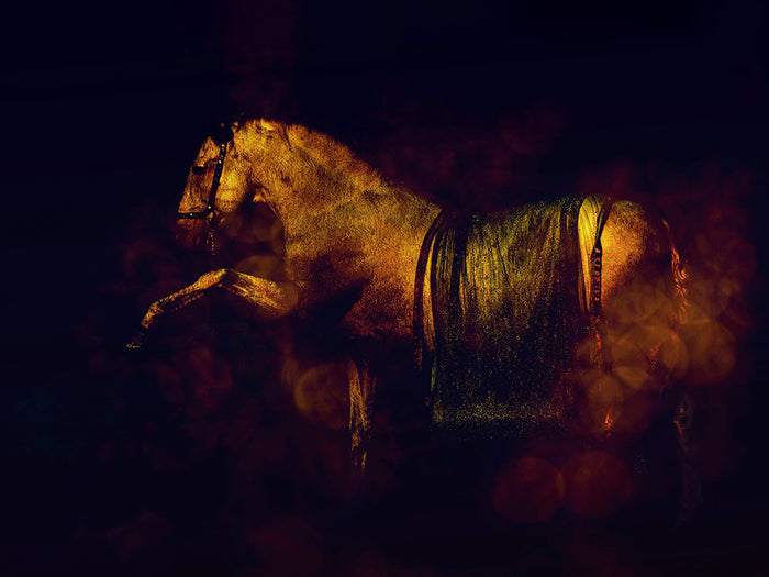 Golden Horse by EJ Lazenby