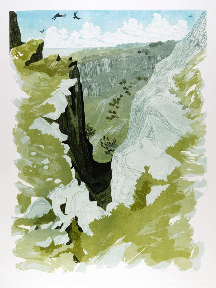 Gully Shadows, Afternoon Light by Laura Boswell