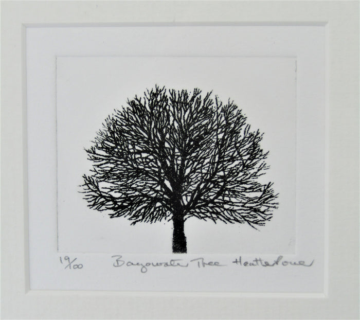 Bayswater Tree etching by Heather Power
