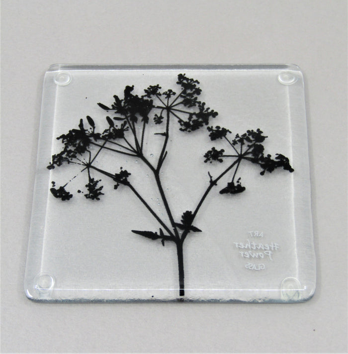 Glass Coaster by Heather Power