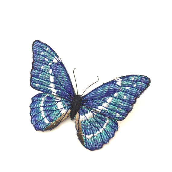 Blue Morpho by Vikki Lafford Garside