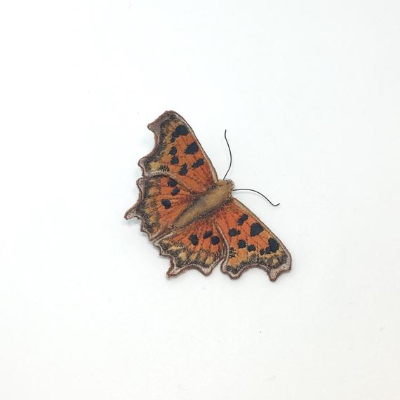 Comma Butterfly by Vikki Lafford Garside