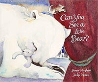 can you see a little bear? book by james mayhew and jackie morris