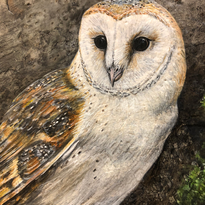 Barn Owl - handpainted slate by Rosemary Timney