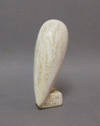 Barn Owl by Paul Smith