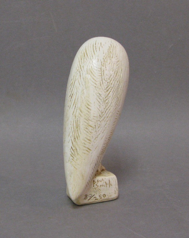 Barn Owl by Paul Smith