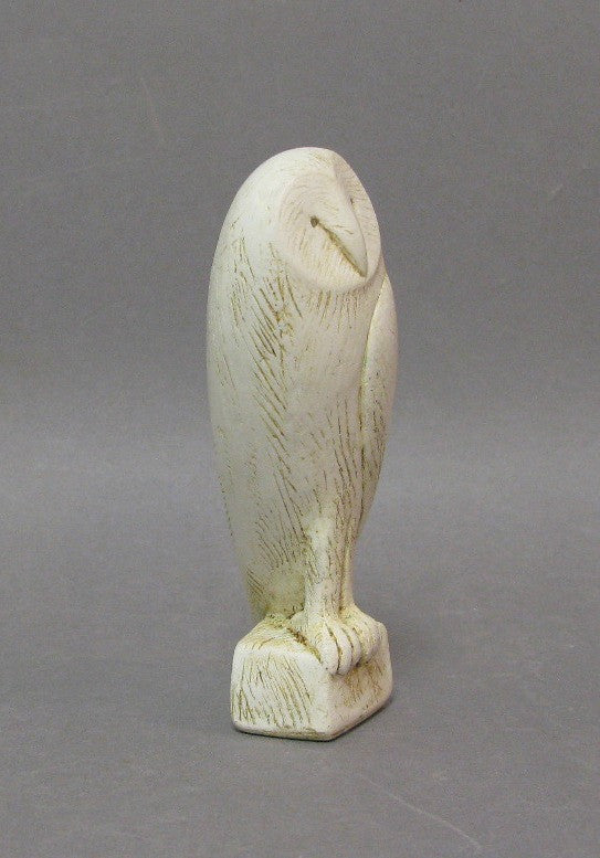 Barn Owl by Paul Smith