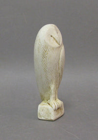 Barn Owl by Paul Smith