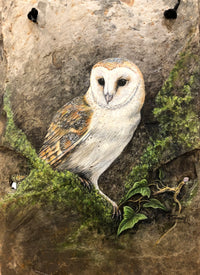 Barn Owl - handpainted slate by Rosemary Timney