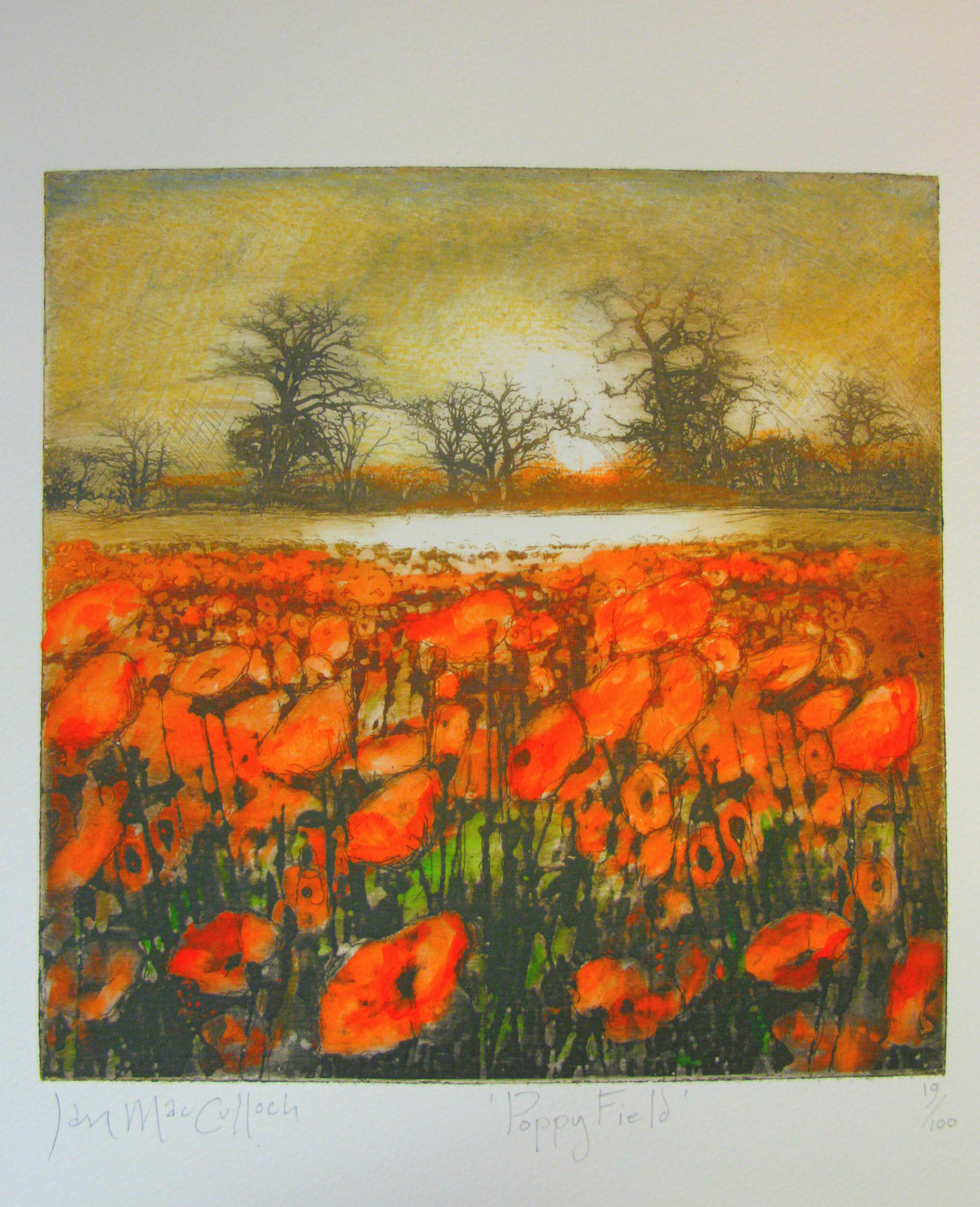 Poppy Field - Ian MacCulloch