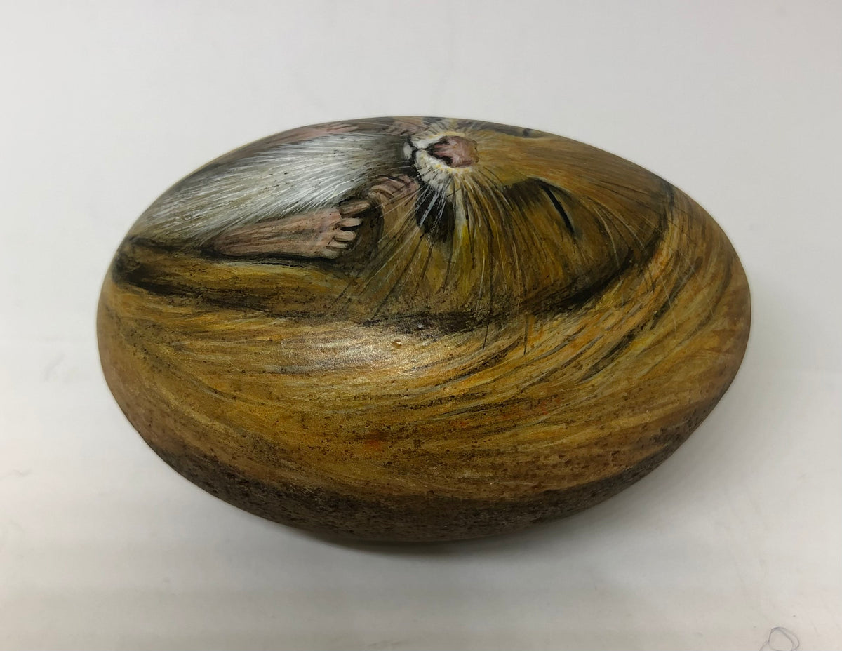 Sleeping Dormouse - handpainted pebble by Rosemary Timney