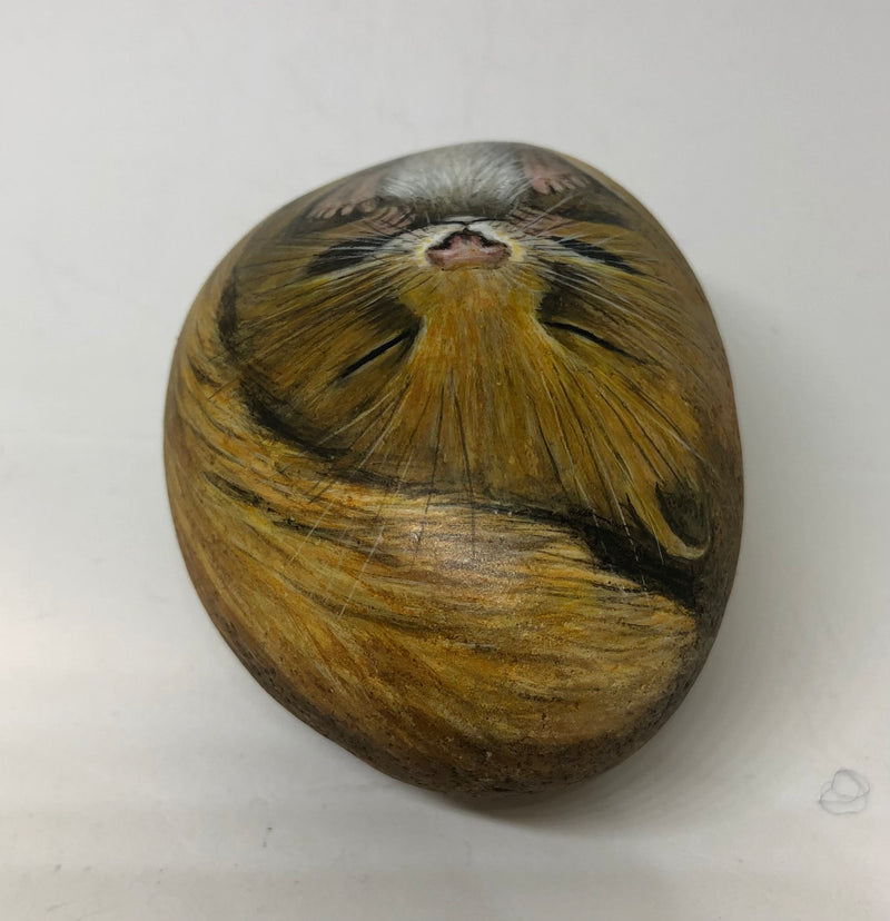 Sleeping Dormouse - handpainted pebble by Rosemary Timney