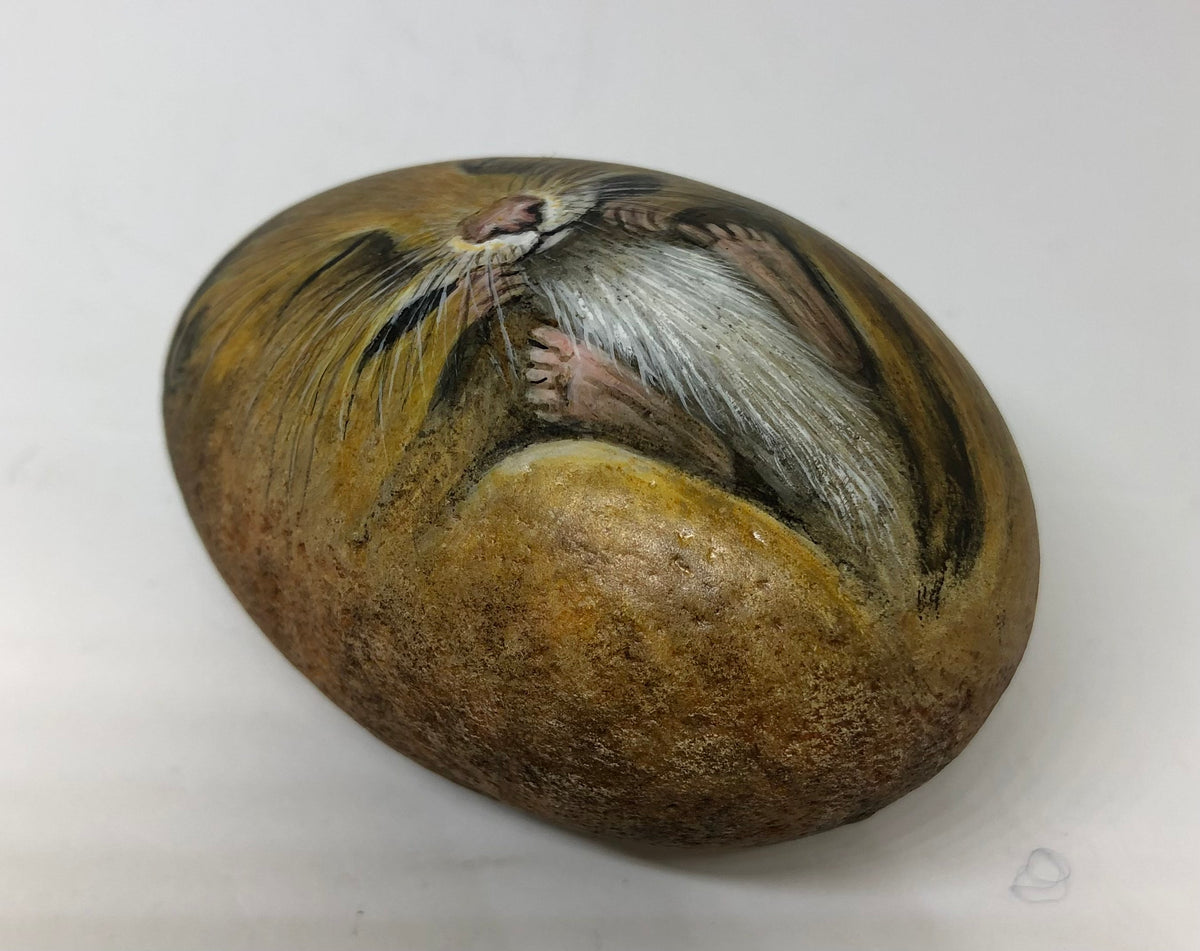 Sleeping Dormouse - handpainted pebble by Rosemary Timney