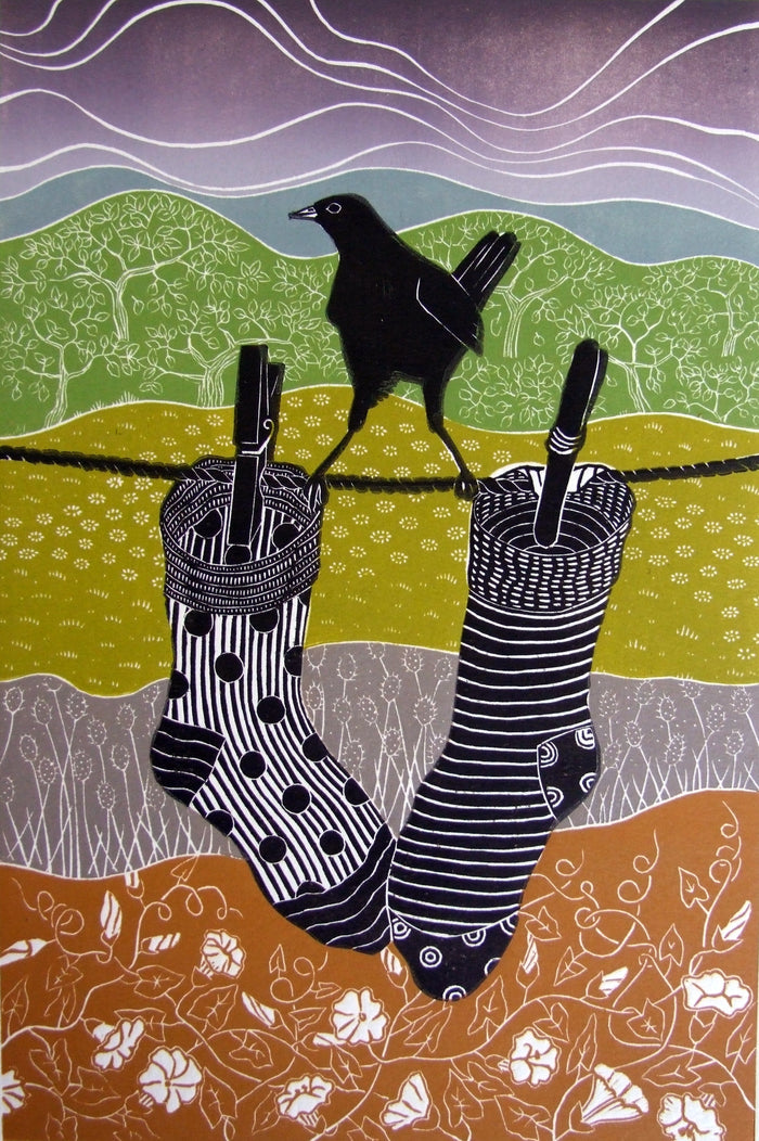 Socks by Diana Ashdown