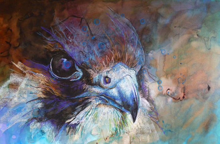 Up Close & Personal - painting of hawk by Suzy Drake