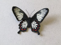 Ceylon Rose Butterfly, Embroidered Brooch.